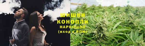 ECSTASY Бородино