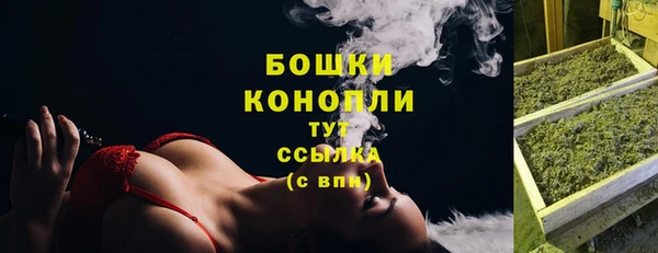 ECSTASY Бородино