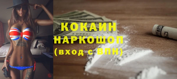 ECSTASY Бородино