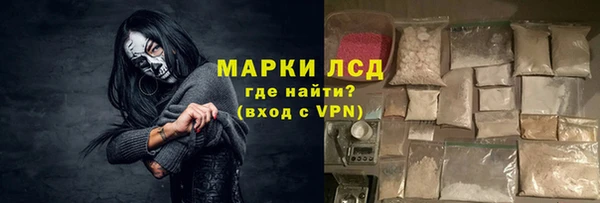 ECSTASY Бородино