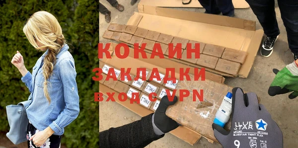 ECSTASY Бородино