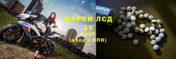 ECSTASY Бородино