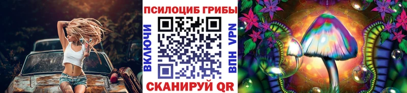 Псилоцибиновые грибы Psilocybe  Купить где  Сосновоборск 